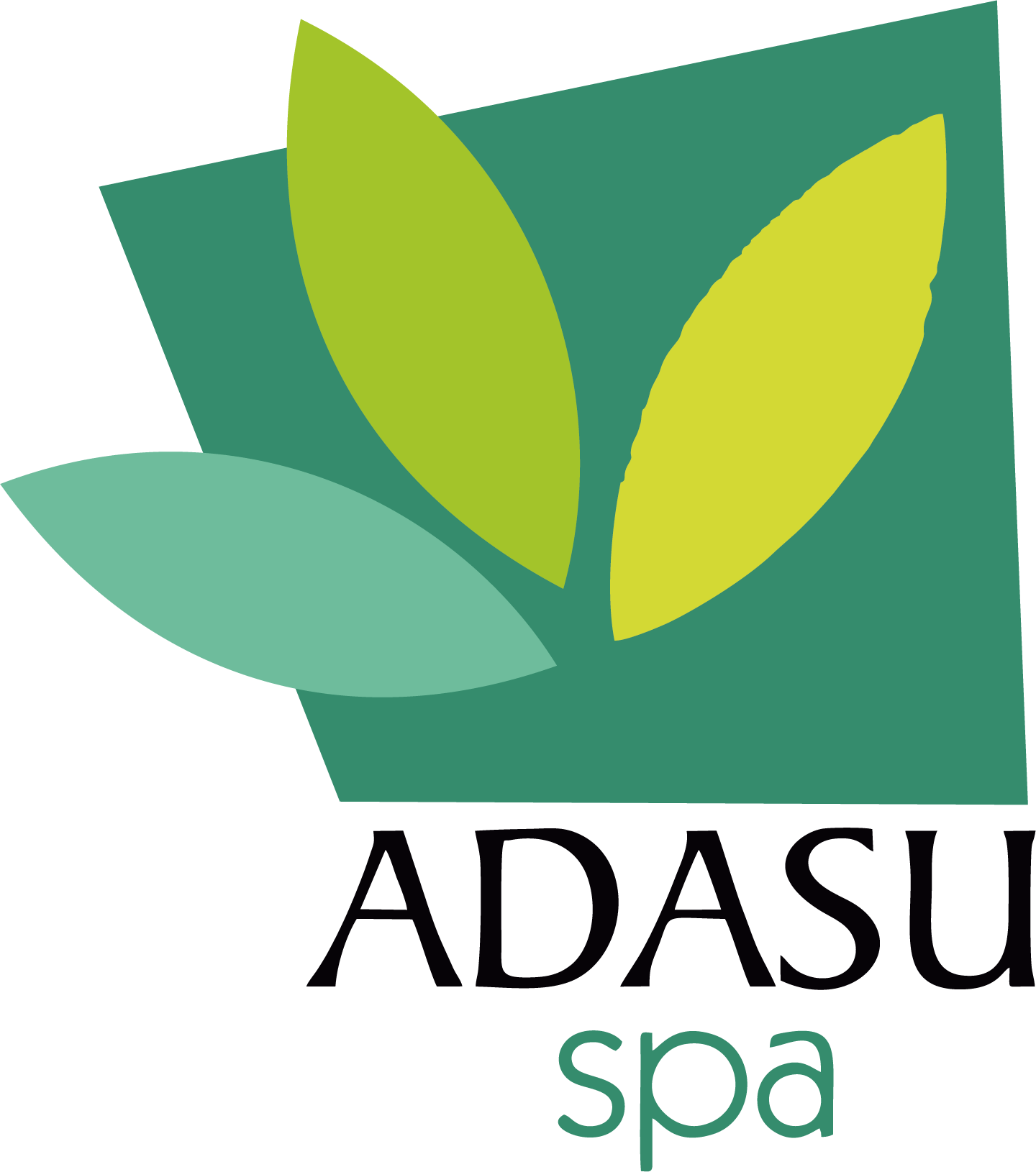 Adasu Spa